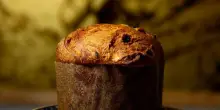 Panettone artigianale, come capire se &egrave; buono per davvero