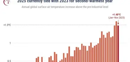 Il 2025 potrà essere il secondo anno più caldo mai registrato