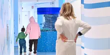 Il lavoro materno non compromette il benessere dei figli