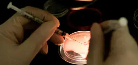 In Europa nati 200 bebè da un donatore di sperma a rischio cancro, alcuni sono morti