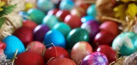 I prezzi delle uova decollano, effetto dell'aviaria: fino a +27% da inizio anno