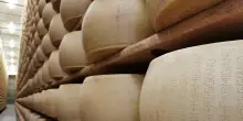 Da Bper finanziamenti a allevatori del Parmigiano Reggiano garantiti da 'Quote Latte'