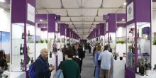 Domani a Verona si apre il 58/o Vinitaly alla presenza di 5 ministri