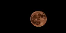 Nasa pronta a investire 1 miliardo di dollari nella base lunare