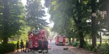Colpita da un ramo a Cascine Firenze, 23enne in codice rosso