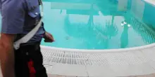 Era caduto in piscina venerdì, è morto il bimbo di quattro anni