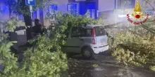 Maltempo, 100 interventi Vigili fuoco per alberi caduti in Fvg