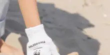 Calzedonia e Wwf insieme per spiagge e coste più pulite