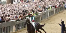 Palio di Siena, vince la contrada dell'Oca