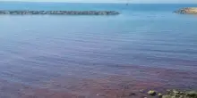 L'acqua del mare si tinge di rosso nell'Imperiese