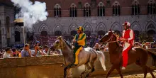 Palio di Siena: contrada del Bruco vince la quarta prova