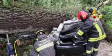 Albero cade su un'auto: un morto e 22enne in prognosi riservata