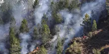 Roghi in Spagna, emissioni record carbonio, fumo in Scandinavia