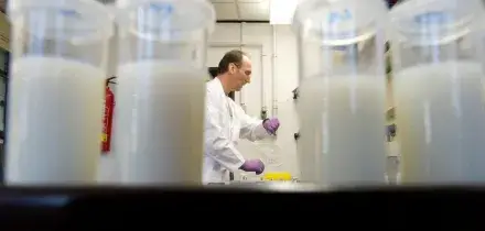 Muore a 15 anni dopo una cena, era allergica al latte