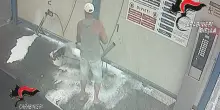 Lava il cane all'autolavaggio, denunciato