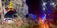 Auto contro un albero per evitare un cinghiale, un morto e un ferito