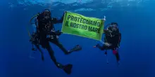 Greenpeace,'il trattato Onu sugli oceani in vigore senza Italia'