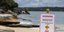 Uomo attaccato da uno squalo in Australia, &egrave; in condizioni critiche