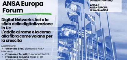 L'Ue accelera sulla fibra, oggi il forum ANSA sul Digital networks act