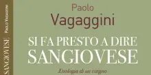Dai lieviti al sole, la vita segreta del vino inizia dal 'Re Sangiovese'