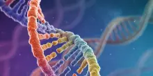 Pronto il decoder del Dna, per le terapie del futuro