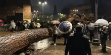 Crolla un pino di 20 metri ai Fori Imperiali a Roma