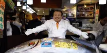 Tokyo, record all'asta: tonno da 2,8 milioni di euro