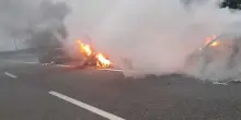 Assalto ad un portavalori sull'A14 nel Foggiano, auto in fiamme
