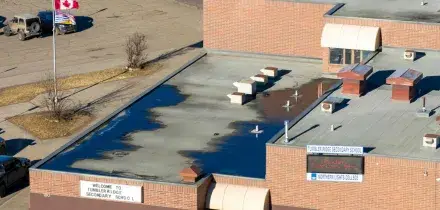 Strage in una scuola in Canada, uccide 9 persone e si suicida. L'autrice &egrave; una 18enne transgender