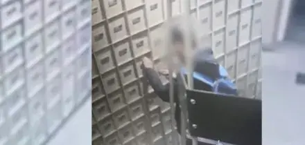 Bloccato di notte nel caveau di una banca a Milano, era un ladro in azione