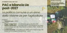 Nuova Pac e visione Ue per l'agricoltura, alle 14,30 il forum ANSA