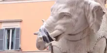 Elefante di Bernini restaurato dopo distacco della zanna