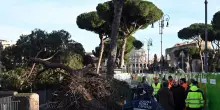 Crollo pini in via dei Fori Imperiali, si rafforza la task force al lavoro