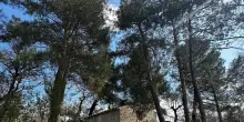 Famiglia nel bosco: Pillon, richiesta per costruire la nuova casa