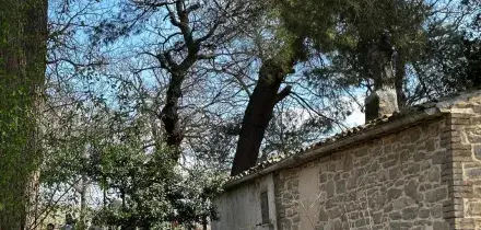 Famiglia nel bosco, Catherine e Nathan incontrano La Russa a Palazzo Giustiniani