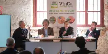 A Verona torna 'Vita in campagna', fiera per gli appassionati del verde