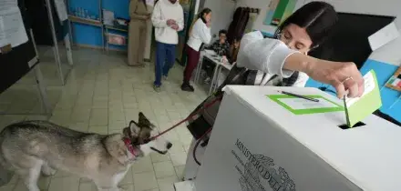 Referendum, l'Italia al voto. Boom dell'affluenza, al 38,9% alle 19