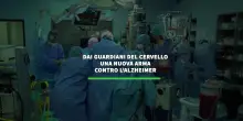 Dai guardiani del cervello una nuova arma contro l'Alzheimer