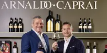 Vino, ad Angelini Wines & Estates la maggioranza di Arnaldo Caprai