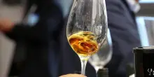 Nuove rotte per il vino italiano, export a 400 milioni nel 2025 e +4,3% in un anno
