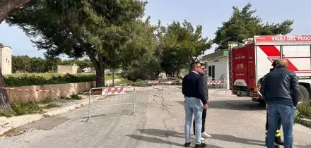 Albero cade per il vento, muore una dodicenne in Puglia