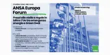 L'Ue tra emergenza energia e Green Deal, domani Forum ANSA