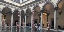 Installazione nel cortile di Palazzo Strozzi, tra Rinascimento e convivenza specie