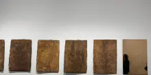 Da Gagosian gli alberi di bronzo di Giuseppe Penone