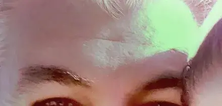 Ucciso a coltellate a Padova, arrestato dalla polizia amico e socio