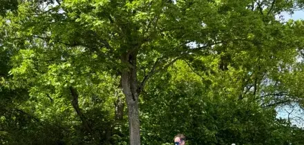 Atletica: Schwazer vince la maratona di marcia con record italiano