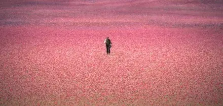 La Casa degli Spiriti, arriva la serie tv dal bestseller di Isabel Allende