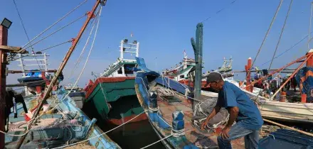 Pesca in economia di guerra, da Chioggia a Mazara uscite dimezzate