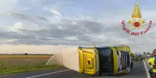 Tir si ribalta lungo la A13, autostrada bloccata nel Rodigino