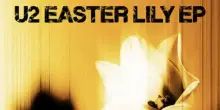 Gli U2 pubblicano a sopresa un nuovo ep di 6 tracce Easter Lily